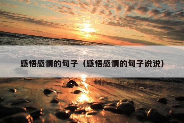 感悟感情的句子（感悟感情的句子说说）