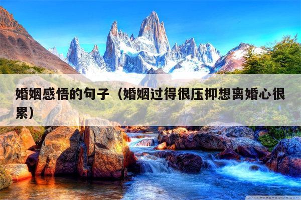 婚姻感悟的句子（婚姻过得很压抑想离婚心很累）