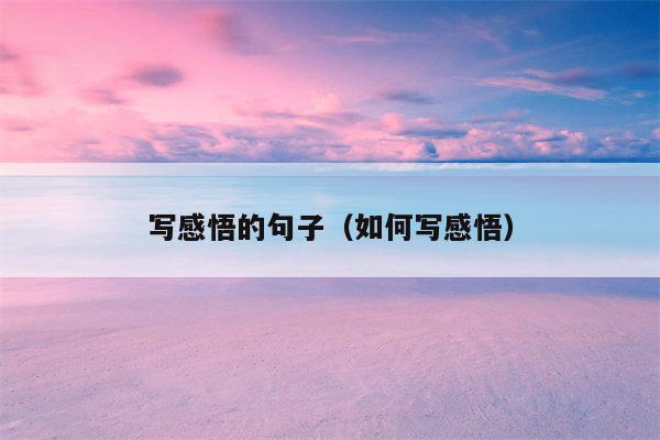 写感悟的句子（如何写感悟）