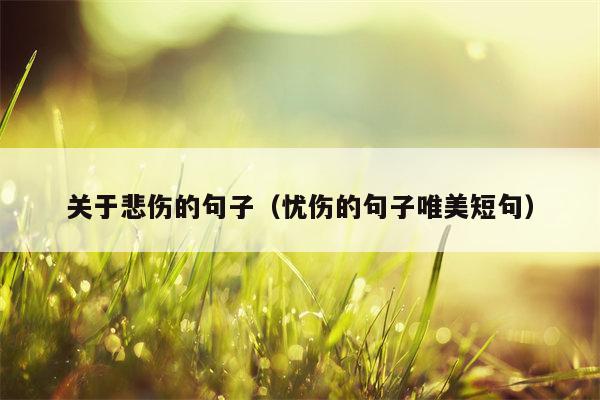 关于悲伤的句子（忧伤的句子唯美短句）