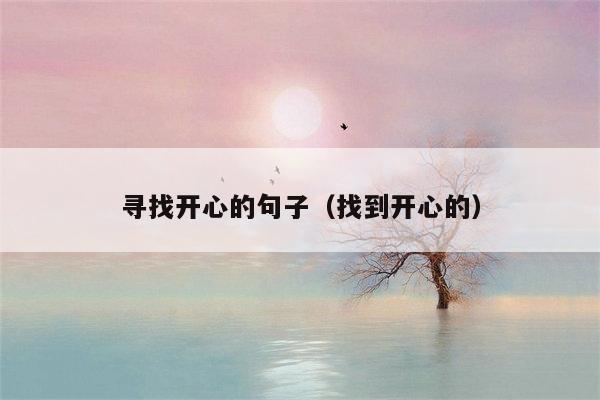 寻找开心的句子（找到开心的）