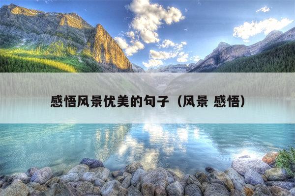 感悟风景优美的句子（风景 感悟）