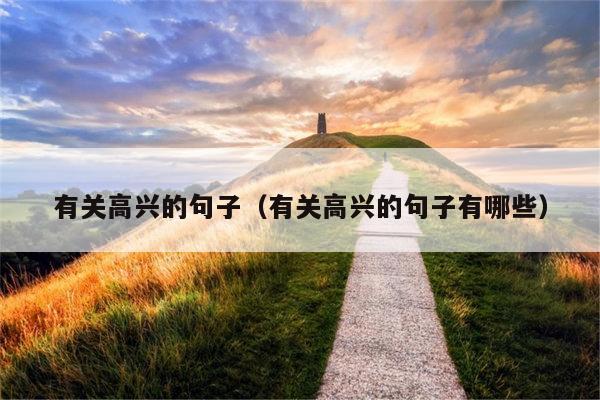 有关高兴的句子（有关高兴的句子有哪些）