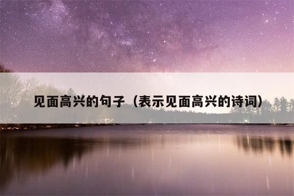 见面高兴的句子（表示见面高兴的诗词）