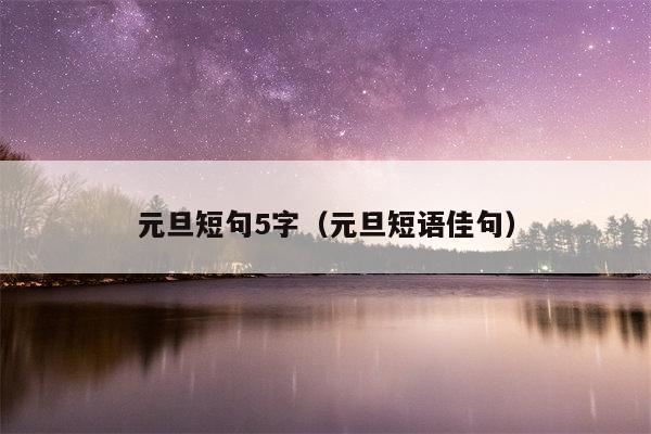 元旦短句5字（元旦短语佳句）