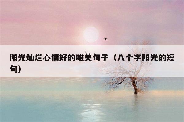 阳光灿烂心情好的唯美句子（八个字阳光的短句）