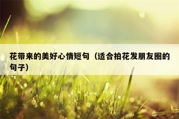 花带来的美好心情短句（适合拍花发朋友圈的句子）