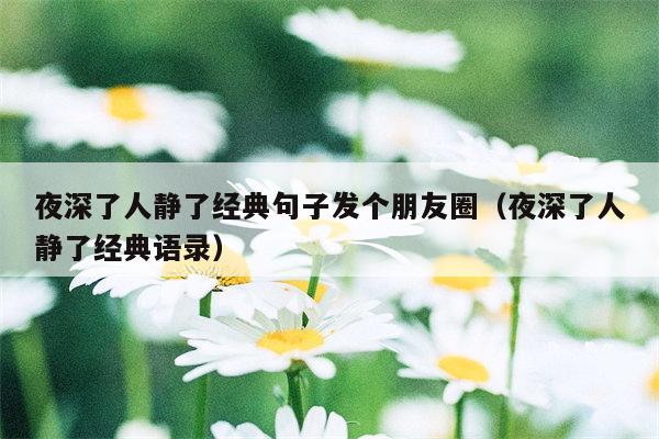 夜深了人静了经典句子发个朋友圈（夜深了人静了经典语录）