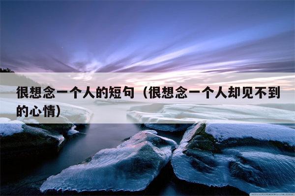 很想念一个人的短句（很想念一个人却见不到的心情）