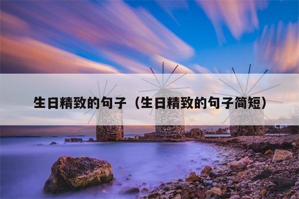 生日精致的句子（生日精致的句子简短）