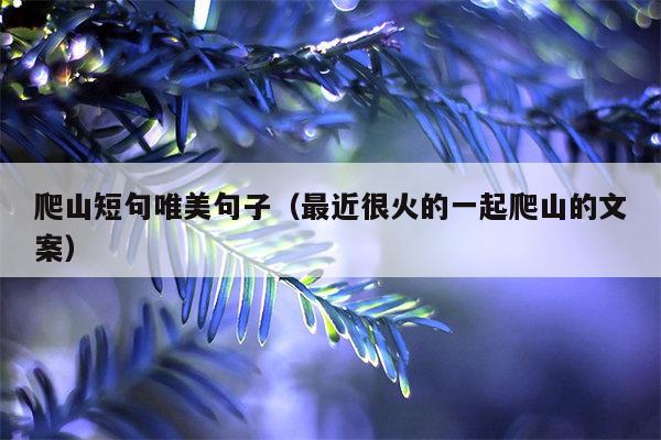 爬山短句唯美句子（最近很火的一起爬山的文案）