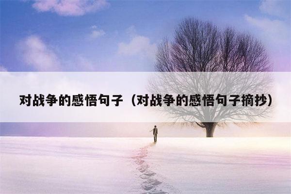 对战争的感悟句子（对战争的感悟句子摘抄）