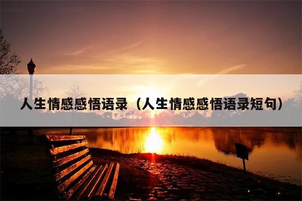 人生情感感悟语录（人生情感感悟语录短句）