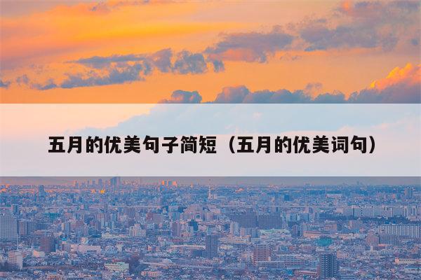 五月的优美句子简短（五月的优美词句）