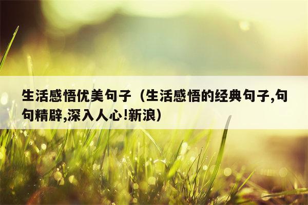 生活感悟优美句子（生活感悟的经典句子,句句精辟,深入人心!新浪）
