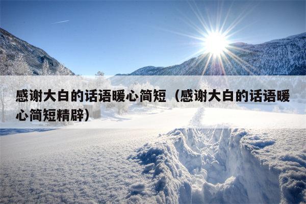 感谢大白的话语暖心简短（感谢大白的话语暖心简短精辟）