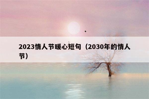 2023情人节暖心短句（2030年的情人节）