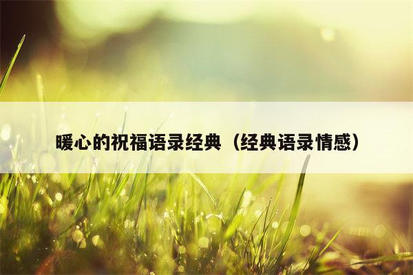 暖心的祝福语录经典（经典语录情感）