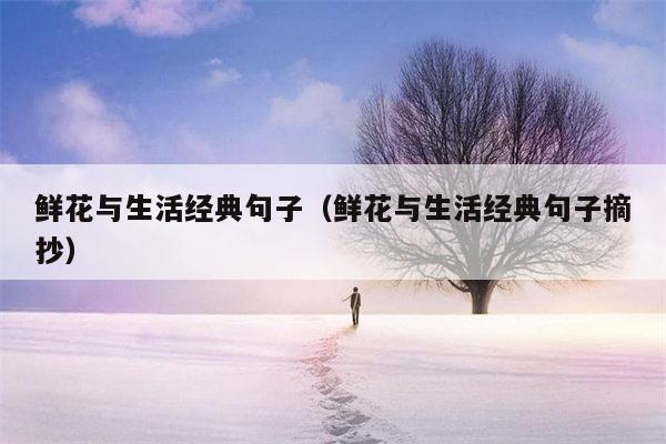 鲜花与生活经典句子（鲜花与生活经典句子摘抄）