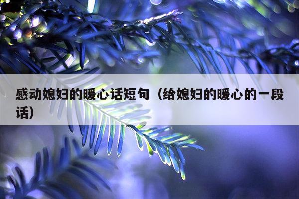 感动媳妇的暖心话短句（给媳妇的暖心的一段话）