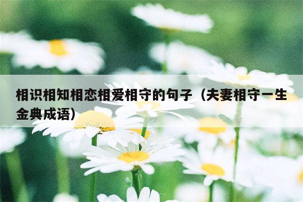 相识相知相恋相爱相守的句子（夫妻相守一生金典成语）