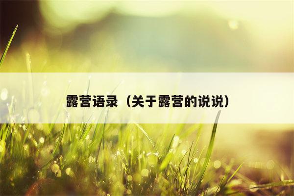 露营语录（关于露营的说说）