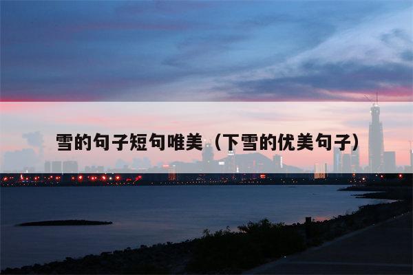 雪的句子短句唯美（下雪的优美句子）