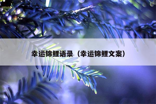 幸运锦鲤语录（幸运锦鲤文案）