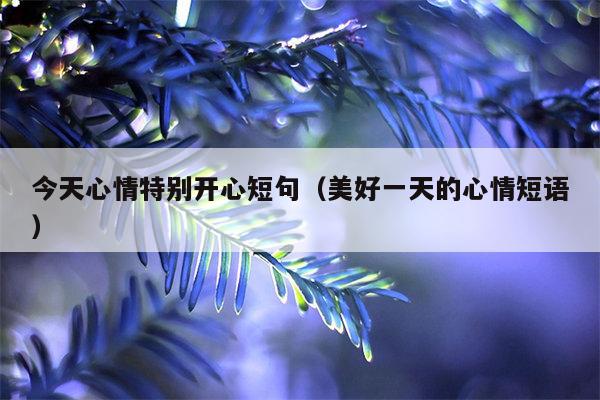 今天心情特别开心短句（美好一天的心情短语）