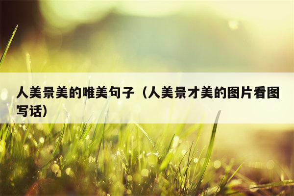 人美景美的唯美句子（人美景才美的图片看图写话）