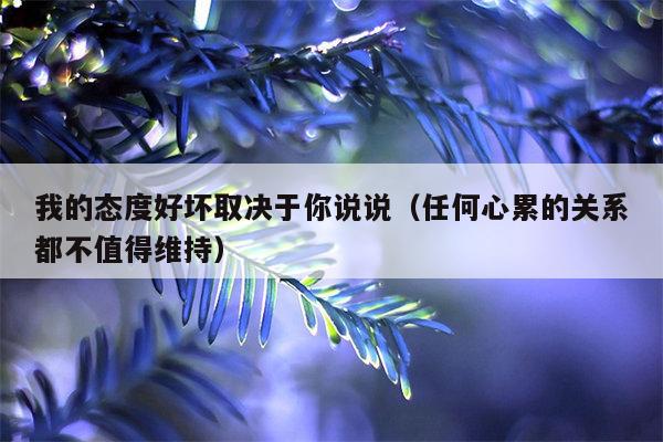 我的态度好坏取决于你说说（任何心累的关系都不值得维持）