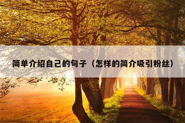 简单介绍自己的句子（怎样的简介吸引粉丝）