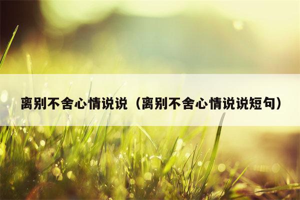 离别不舍心情说说（离别不舍心情说说短句）