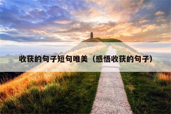 收获的句子短句唯美（感悟收获的句子）