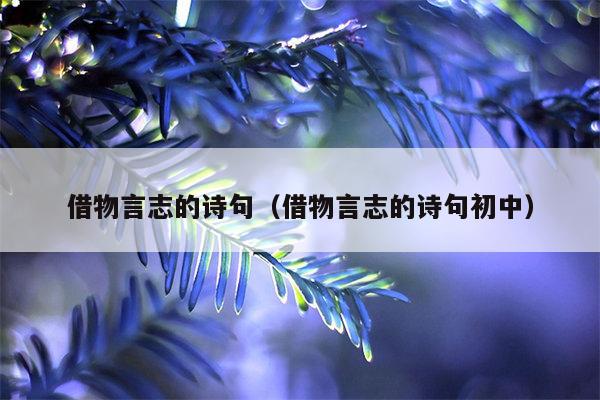 借物言志的诗句（借物言志的诗句初中）