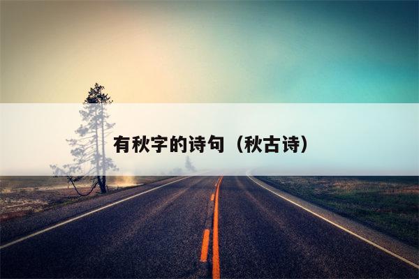 有秋字的诗句（秋古诗）
