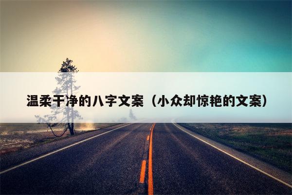 温柔干净的八字文案（小众却惊艳的文案）