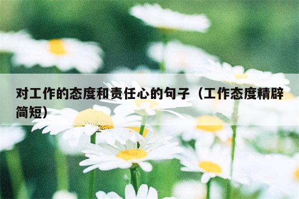 对工作的态度和责任心的句子（工作态度精辟简短）