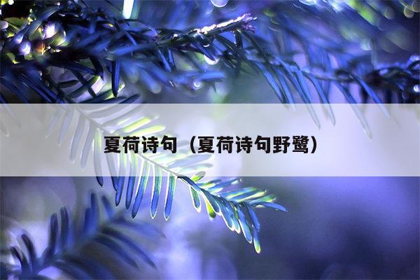夏荷诗句（夏荷诗句野鹭）