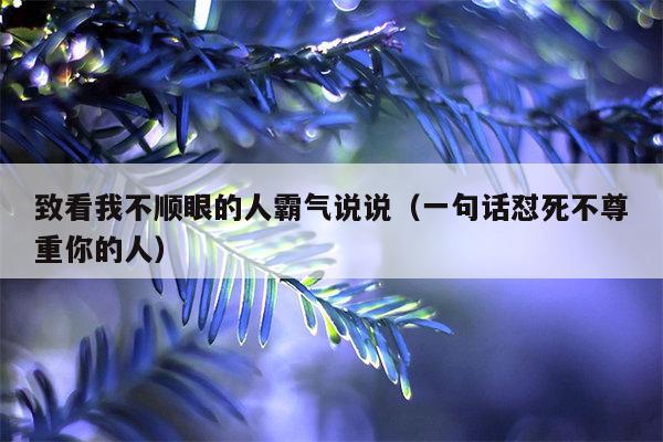 致看我不顺眼的人霸气说说（一句话怼死不尊重你的人）