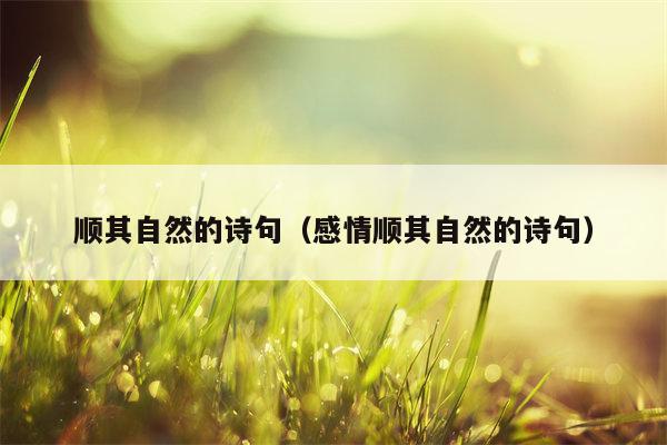 顺其自然的诗句（感情顺其自然的诗句）