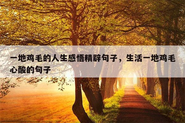 一地鸡毛的人生感悟精辟句子，生活一地鸡毛心酸的句子