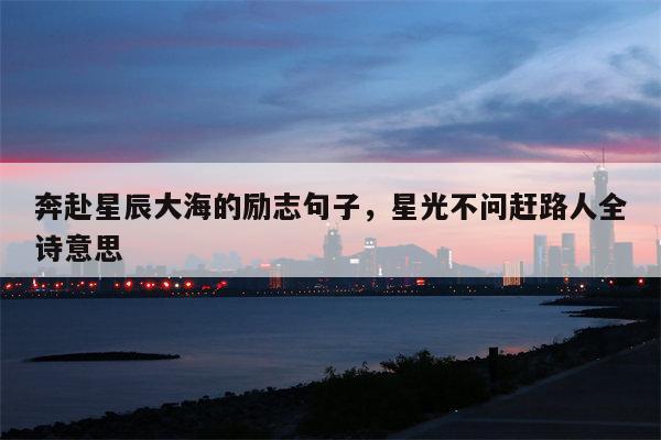 奔赴星辰大海的励志句子，星光不问赶路人全诗意思