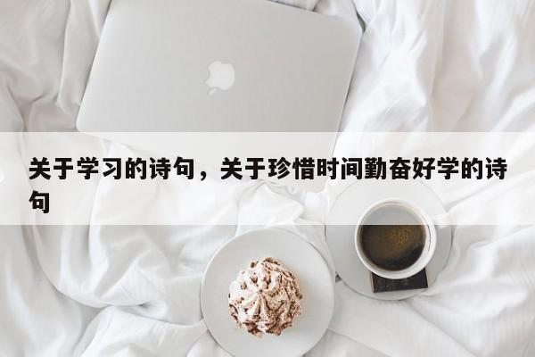 关于学习的诗句，关于珍惜时间勤奋好学的诗句