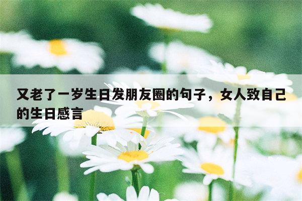 又老了一岁生日发朋友圈的句子，女人致自己的生日感言