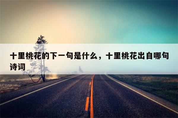 十里桃花的下一句是什么，十里桃花出自哪句诗词