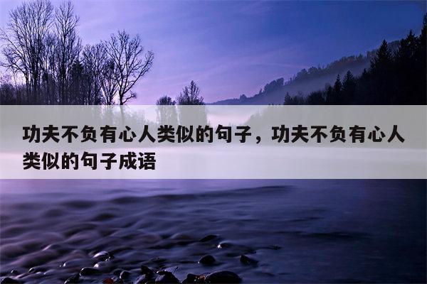 功夫不负有心人类似的句子，功夫不负有心人类似的句子成语