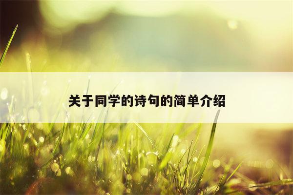 关于同学的诗句的简单介绍