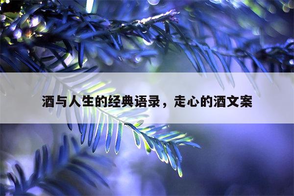 酒与人生的经典语录，走心的酒文案