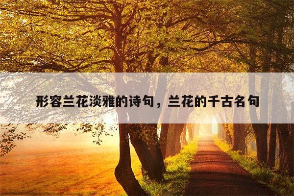 形容兰花淡雅的诗句，兰花的千古名句